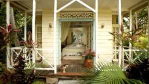 Balenbouche Estate-Saint Lucia Balenbouche Estate-Saint Lucia