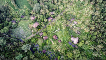 Overview of Bali Eco Stay