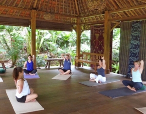 Bali Eco Stay-Indonesia Bali Eco Stay-Indonesia