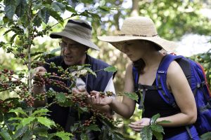 Finca Rosa Blanca Coffee Plantation Inn Finca Rosa Blanca Coffee Plantation Inn