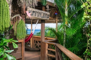 TranquilSeas Eco Lodge and Dive Center-Honduras TranquilSeas Eco Lodge and Dive Center-Honduras