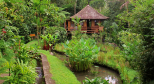 Bali Eco Stay-Indonesia Bali Eco Stay-Indonesia