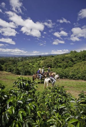 Finca Rosa Blanca Coffee Plantation Inn Finca Rosa Blanca Coffee Plantation Inn