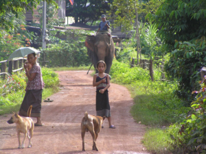 Kingfisher Ecolodge-Laos Kingfisher Ecolodge-Laos