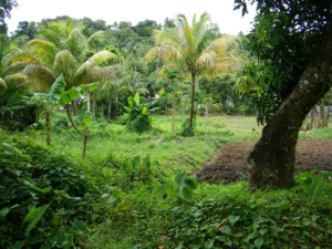 Calabash Mountain Villa – Saint Lucia