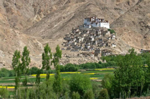 Shyok River Lodge-India Shyok River Lodge-India