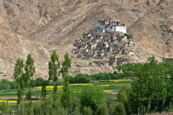 Shyok River Lodge-India