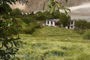 Shyok River Lodge-India Shyok River Lodge-India