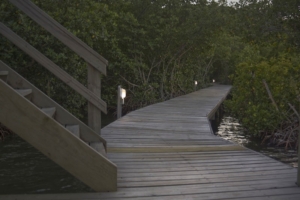 Upachaya Eco-Lodge & Wellness Resort – Honduras Upachaya Eco-Lodge & Wellness Resort – Honduras