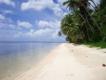 Pacific Treelodge Resort-Micronesia