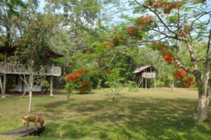 Finca Ixobel Hotel Ecologico-Guatemala Finca Ixobel Hotel Ecologico-Guatemala