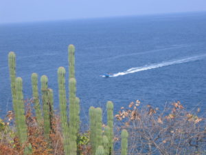 Los Chonchos Beach-Mexico Los Chonchos Beach-Mexico