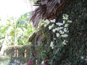 Los Chonchos Beach-Mexico Los Chonchos Beach-Mexico