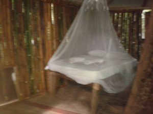 Rosalie forest Eco Lodge-Dominica Rosalie forest Eco Lodge-Dominica