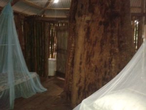 Rosalie forest Eco Lodge-Dominica Rosalie forest Eco Lodge-Dominica