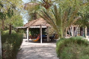 Footsteps Eco-Lodge Gambia Footsteps Eco-Lodge Gambia