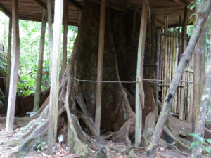 Rosalie forest Eco Lodge-Dominica Rosalie forest Eco Lodge-Dominica