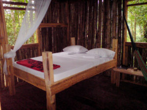 Rosalie forest Eco Lodge-Dominica Rosalie forest Eco Lodge-Dominica