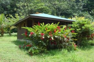 3 Rivers Eco Lodge – Dominica 3 Rivers Eco Lodge – Dominica