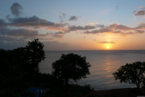 The Tamarind Tree Hotel Dominica The Tamarind Tree Hotel Dominica