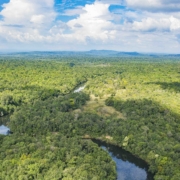 Cardamom Tented Camp Site view