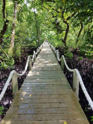 Pacific Treelodge Resort-Micronesia