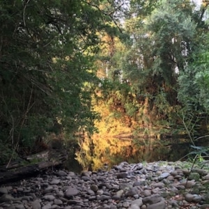 River River