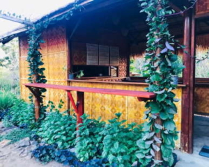 Restaurant Restaurant