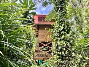 Accomadations at Casa Cayuco are all unique and naturally inspired Accomadations at Casa Cayuco are all unique and naturally inspired