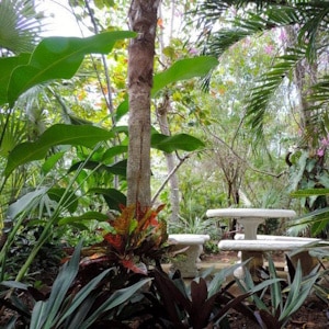 Caribbean Ecotourism - Jamaica - Sustainable tourism