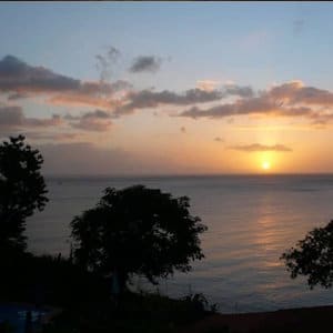 Dominica Eco Lodges Tamarind Tree Hotel
