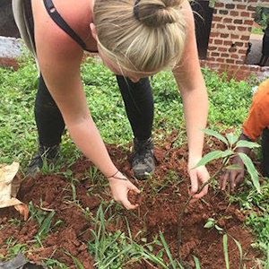 Uganda eco lodges | SITA tourism foundation